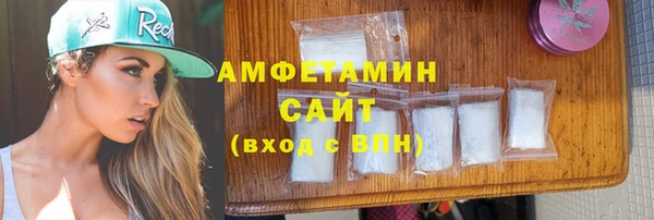 твердый Дмитровск