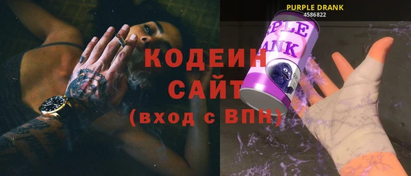 твердый Дмитровск