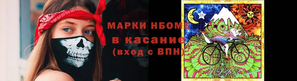 твердый Дмитровск