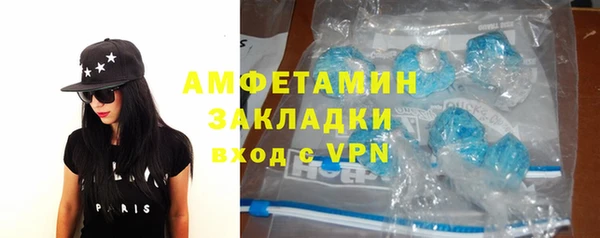 твердый Дмитровск