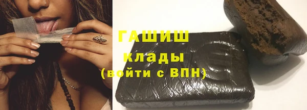 твердый Дмитровск