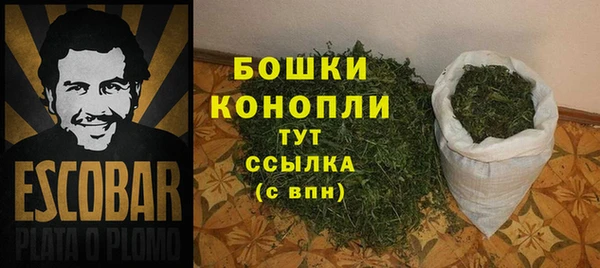 твердый Дмитровск