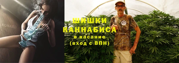 твердый Дмитровск