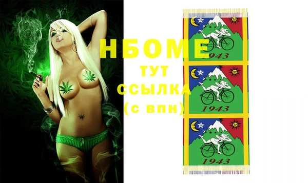 твердый Дмитровск